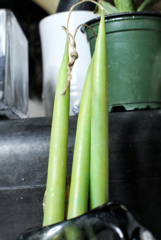 Tapered Beeswax Candles